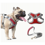 Harnais pour chien Boston, ajustable, réfléchissant, modèle Uni