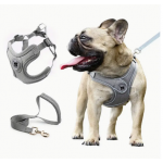 Harnais pour chien Boston, ajustable, réfléchissant, modèle Uni