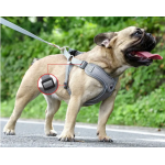 Harnais pour chien Boston, ajustable, réfléchissant, modèle Uni