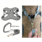 Harnais pour chien Boston, ajustable, réfléchissant, modèle Uni