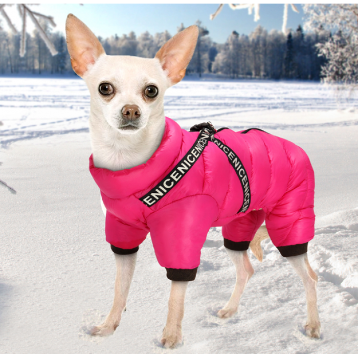 Manteau Hiver Imperméable pour chien-Harnais incorporé