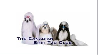 The Canadian Shih Tzu Club