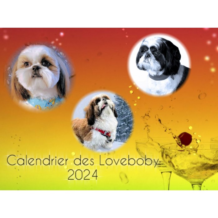 Calendrier des Loveboby-2024-Modèle # 1