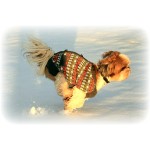 Chandail en tricot pour chien de style Gentelman anglais-Loveboby