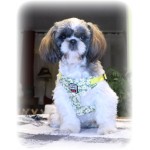 Harnais pour chien fleuri ajustable- Loveboby Articles d'Animaux