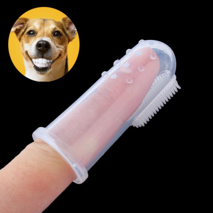 Brosse à dents doigtier pour chien en silicone