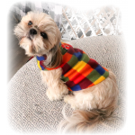 Veste en tricot molletonné pour chien