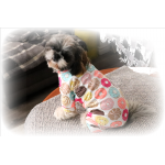Pyjama combinaison pour petits chiens
