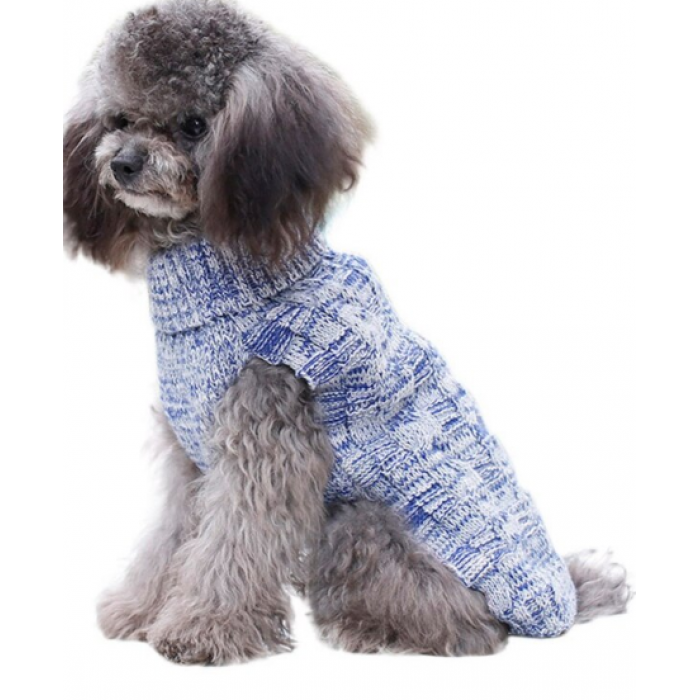 Chandail en tricot pour chien